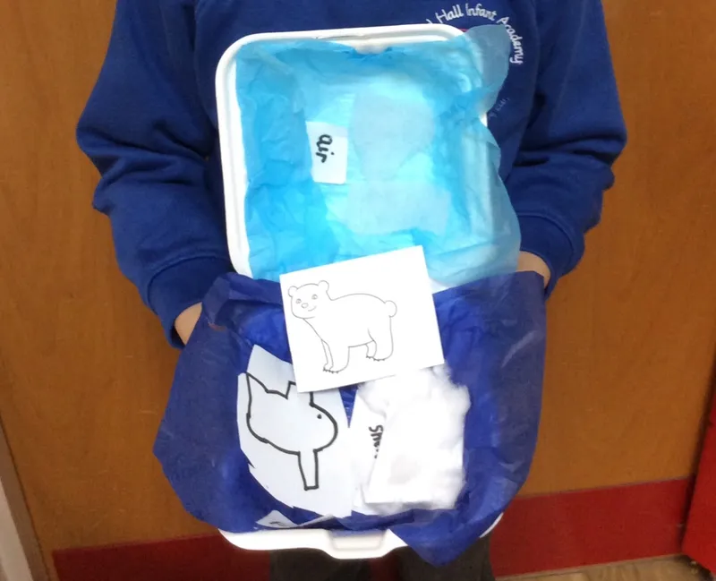 Gallery - created at 2024-02-08 16:21:25 - image 1 Gallery - created at 2024-02-08 16:21:25 - image 1