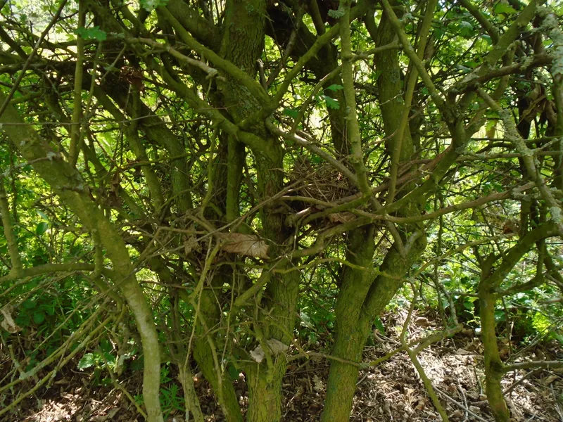 Gallery - created at 2019-05-10 14:16:02 - image 16 Gallery - created at 2019-05-10 14:16:02 - image 16