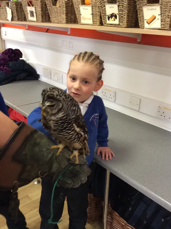 Gallery - created at 2024-02-26 17:15:57 - image 5 Gallery - created at 2024-02-26 17:15:57 - image 5