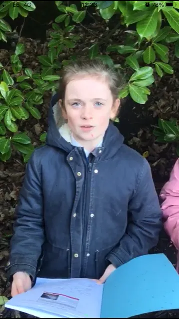 Gallery - created at 2023-01-31 13:05:03 - image 4 Gallery - created at 2023-01-31 13:05:03 - image 4