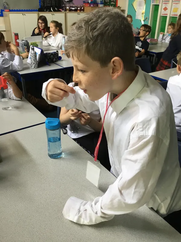 Gallery - created at 2019-09-17 19:22:10 - image 7 Gallery - created at 2019-09-17 19:22:10 - image 7