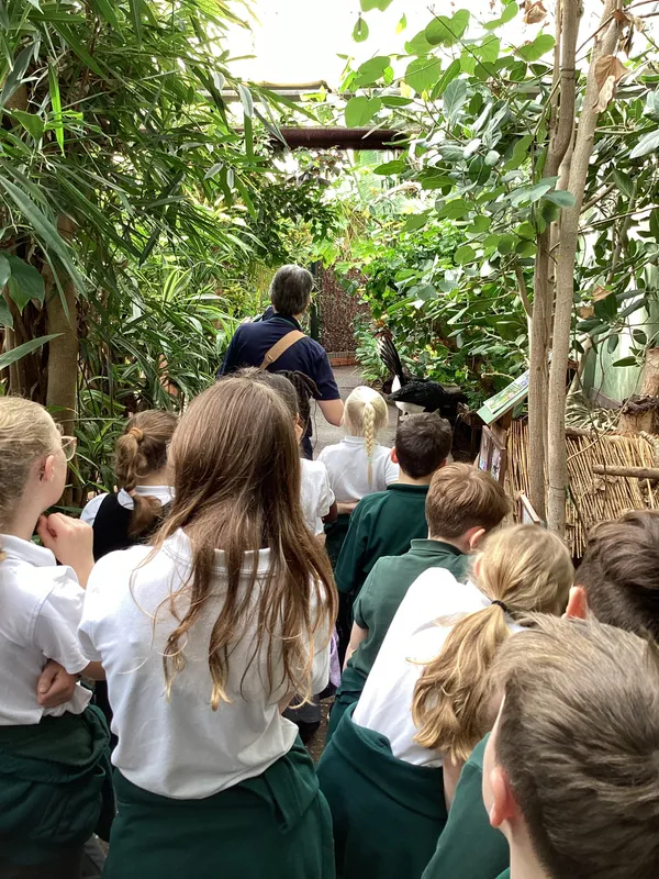 Gallery - created at 2025-03-14 10:11:21 - image 11 Gallery - created at 2025-03-14 10:11:21 - image 11