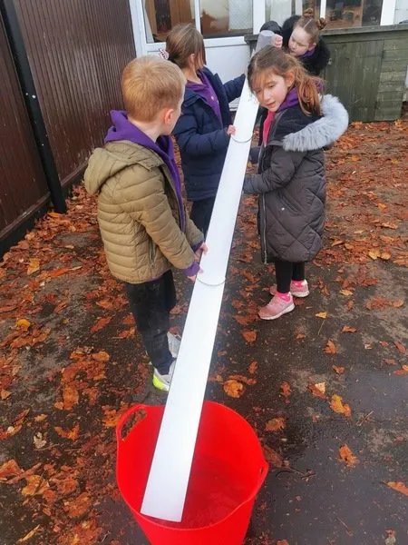 PE 4 - image 4 PE 4 - image 4