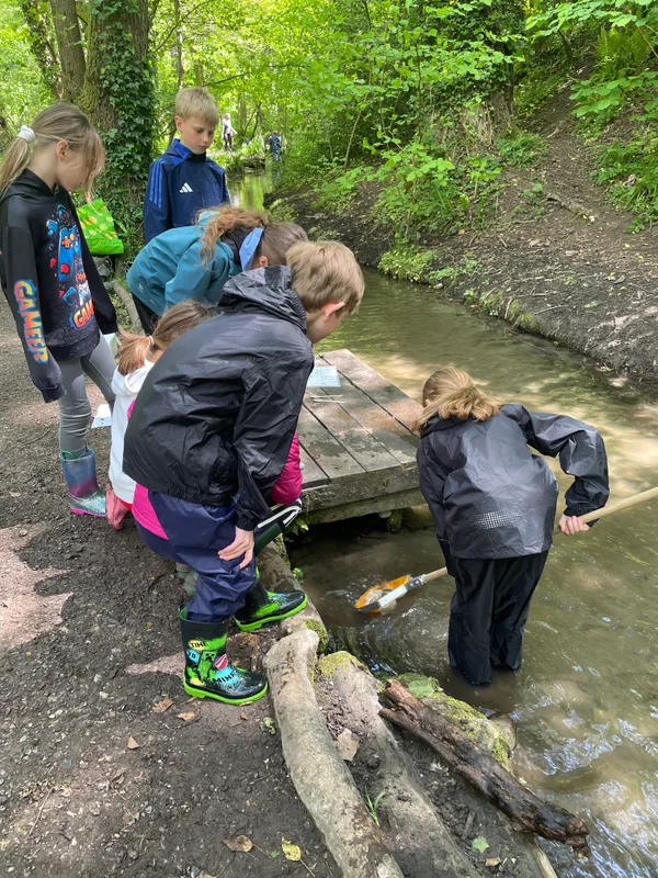 Drews Pond Woods - image 15