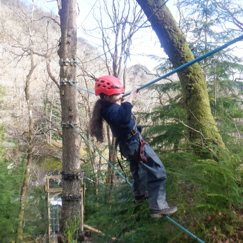 Gallery - created at 2025-02-27 19:57:56 - image 25