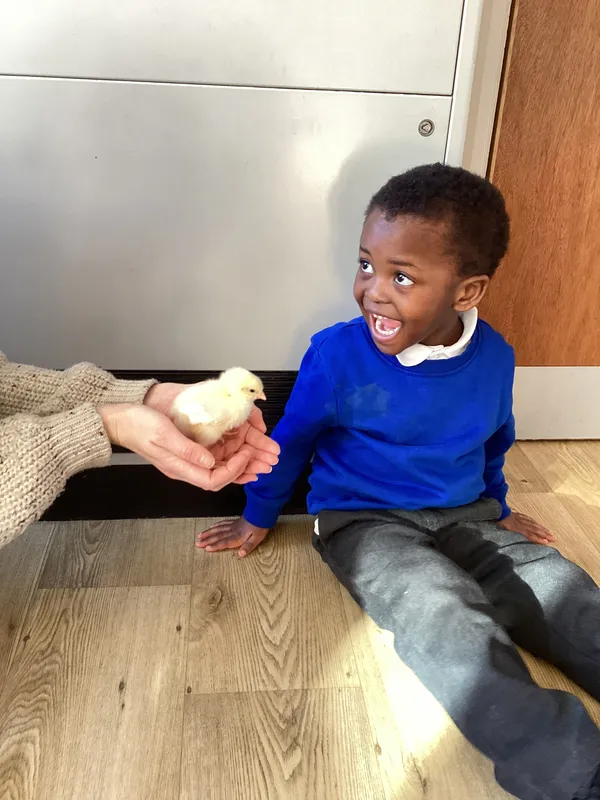 Gallery - created at 2025-04-08 15:36:47 - image 24