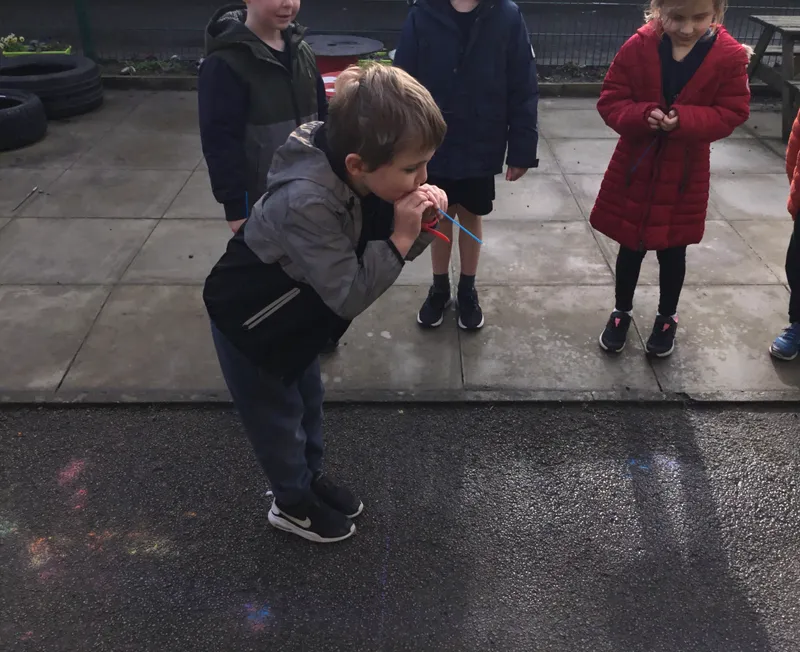 Gallery - created at 2022-02-12 23:06:23 - image 4