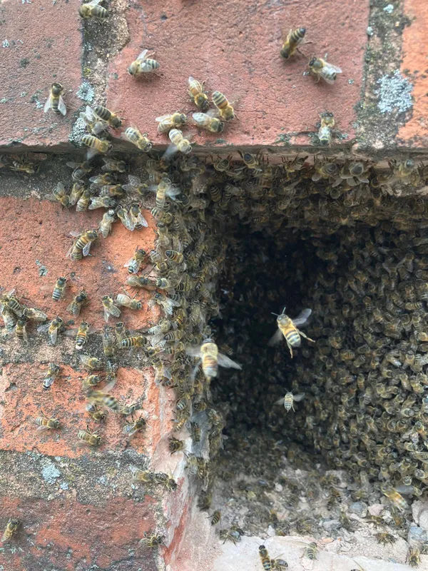 Gallery - created at 2025-06-06 09:25:32 - image 2