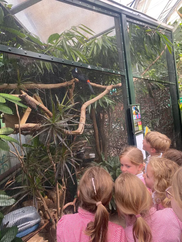 Gallery - created at 2025-06-20 13:57:48 - image 10