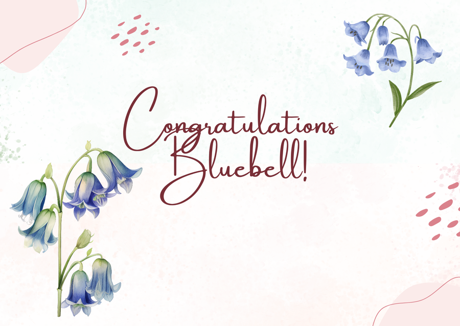   House Winners for Non Uniform Day – Bluebelll House