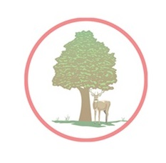 Bartley C of E Junior School - Think for yourself, act for each other