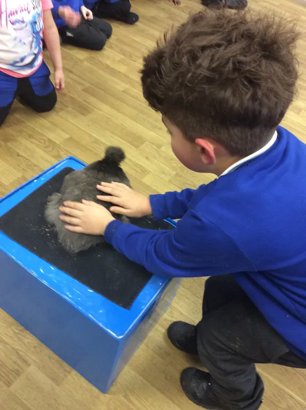 Gallery - created at 2024-03-05 13:52:56 - image 40 Gallery - created at 2024-03-05 13:52:56 - image 40