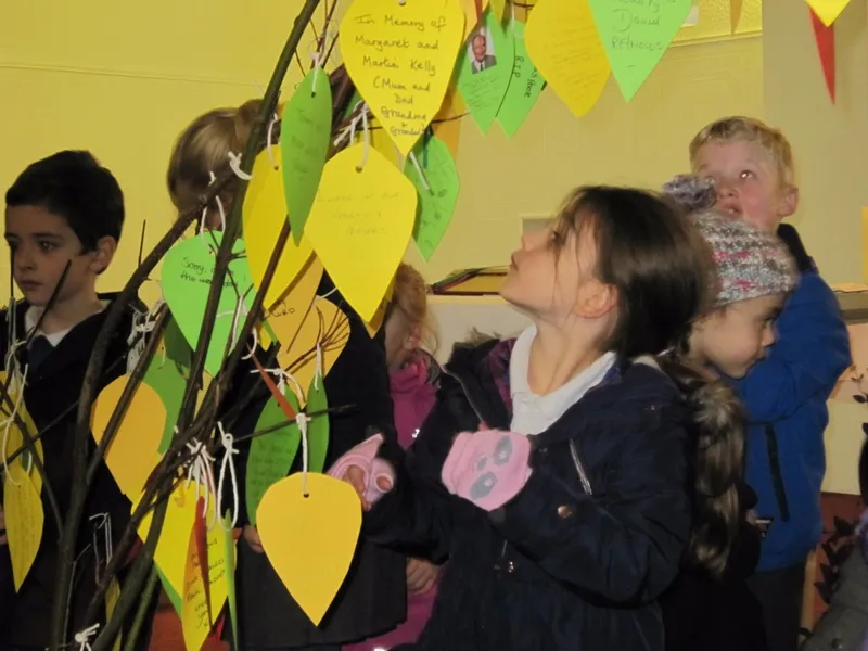 Gallery - created at 2017-09-11 16:29:13 - image 6