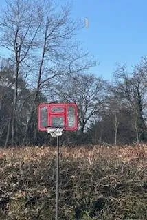 Gallery - created at 2024-03-07 16:40:56 - image 18