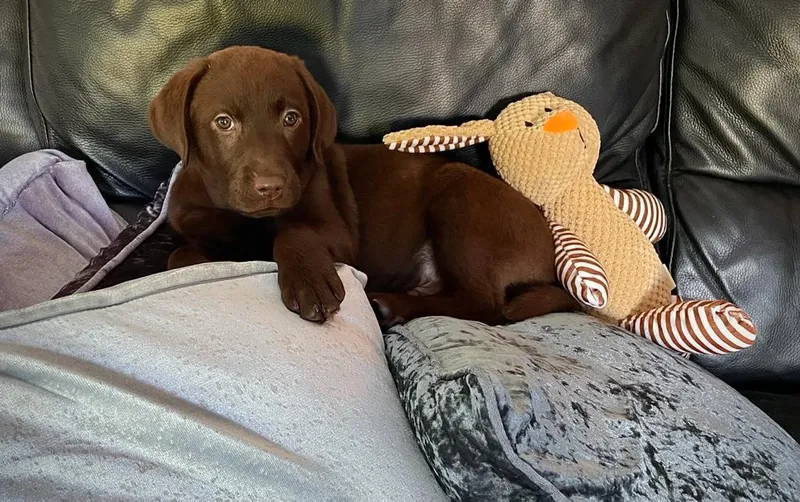 Gallery - created at 2021-06-30 13:57:57 - image 30