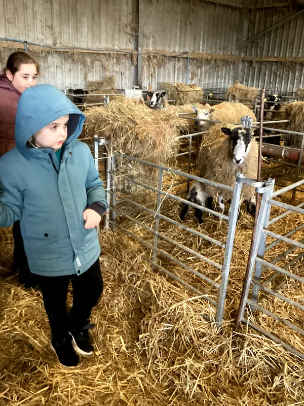 Yellow Class Trip to Woolmers' Farm 2026 - image 9