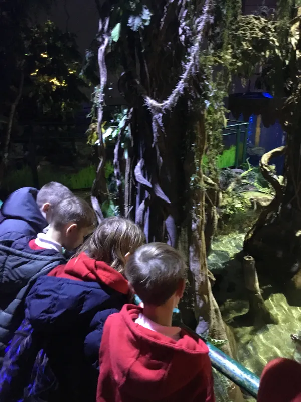 Year 5 Sealife Centre  - image 41