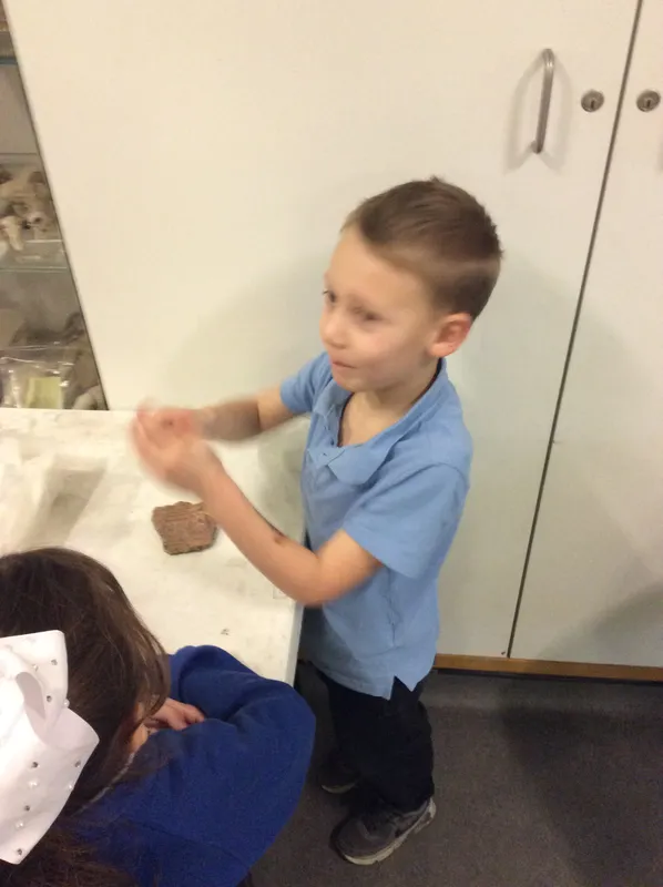 Gallery - created at 2024-02-09 08:14:33 - image 10