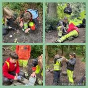 Forest School 4 - image 4 Forest School 4 - image 4