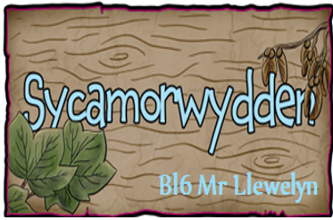 Blwyddyn 6 - Mr Llewelyn