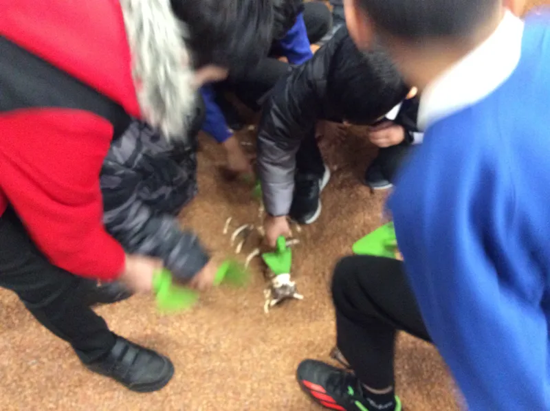 Gallery - created at 2023-04-25 20:29:29 - image 14