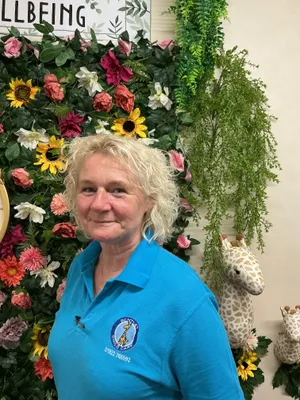 Butterfly team - image 1