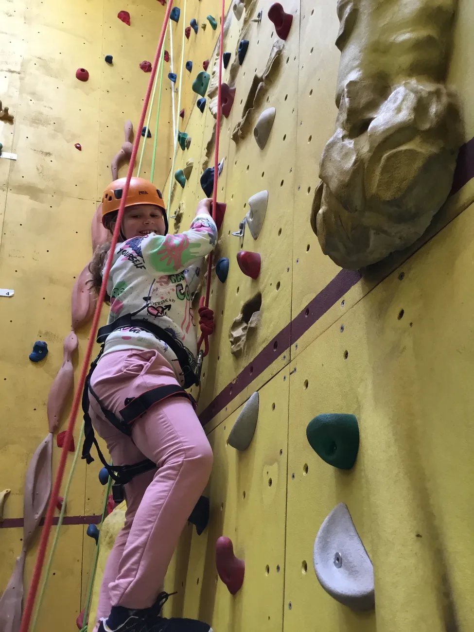 Gallery - created at 2024-09-17 20:50:18 - image 7 Gallery - created at 2024-09-17 20:50:18 - image 7