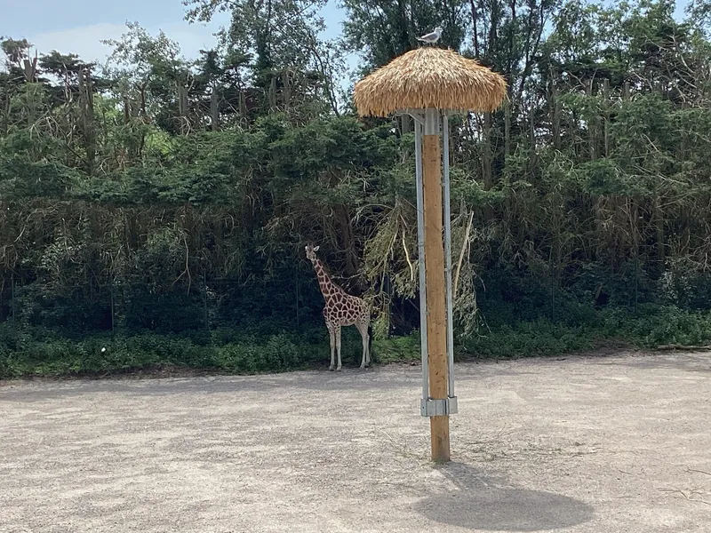 Blackpool zoo - image 13