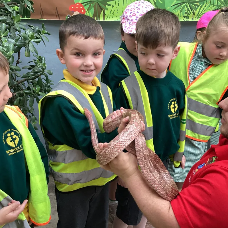 EYFS at Butterfly World - image 3