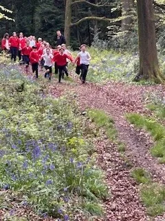 Gallery - created at 2024-04-26 15:50:17 - image 7