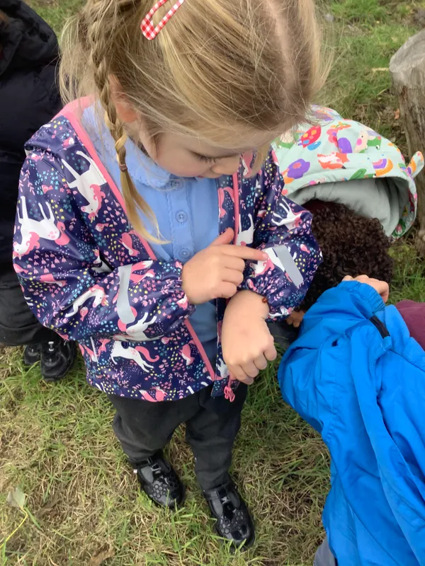 Nursery RE Creation - image 6 Nursery RE Creation - image 6