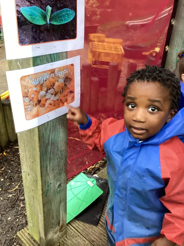 Gallery - created at 2024-10-31 07:35:31 - image 64 Gallery - created at 2024-10-31 07:35:31 - image 64