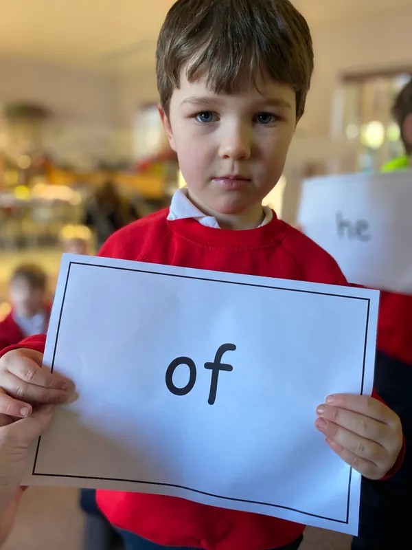 Gallery - created at 2025-01-31 18:29:51 - image 7