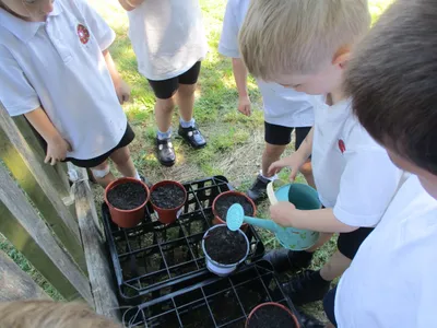 Planting - image 44