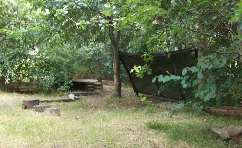 Forest School - image 13