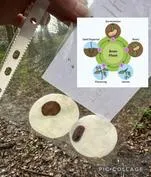 Forest School 46 - image 1 Forest School 46 - image 1