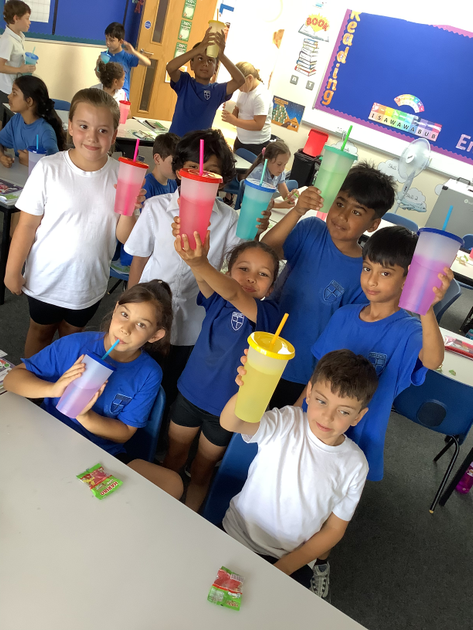 Year 3 Summer 2 Week 7
