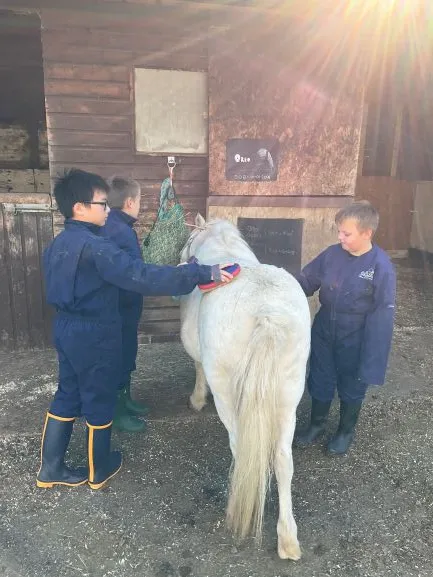 Farm 2025 - Gallery 3 - image 4