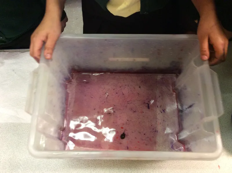 Gallery - created at 2020-03-24 13:57:15 - image 3