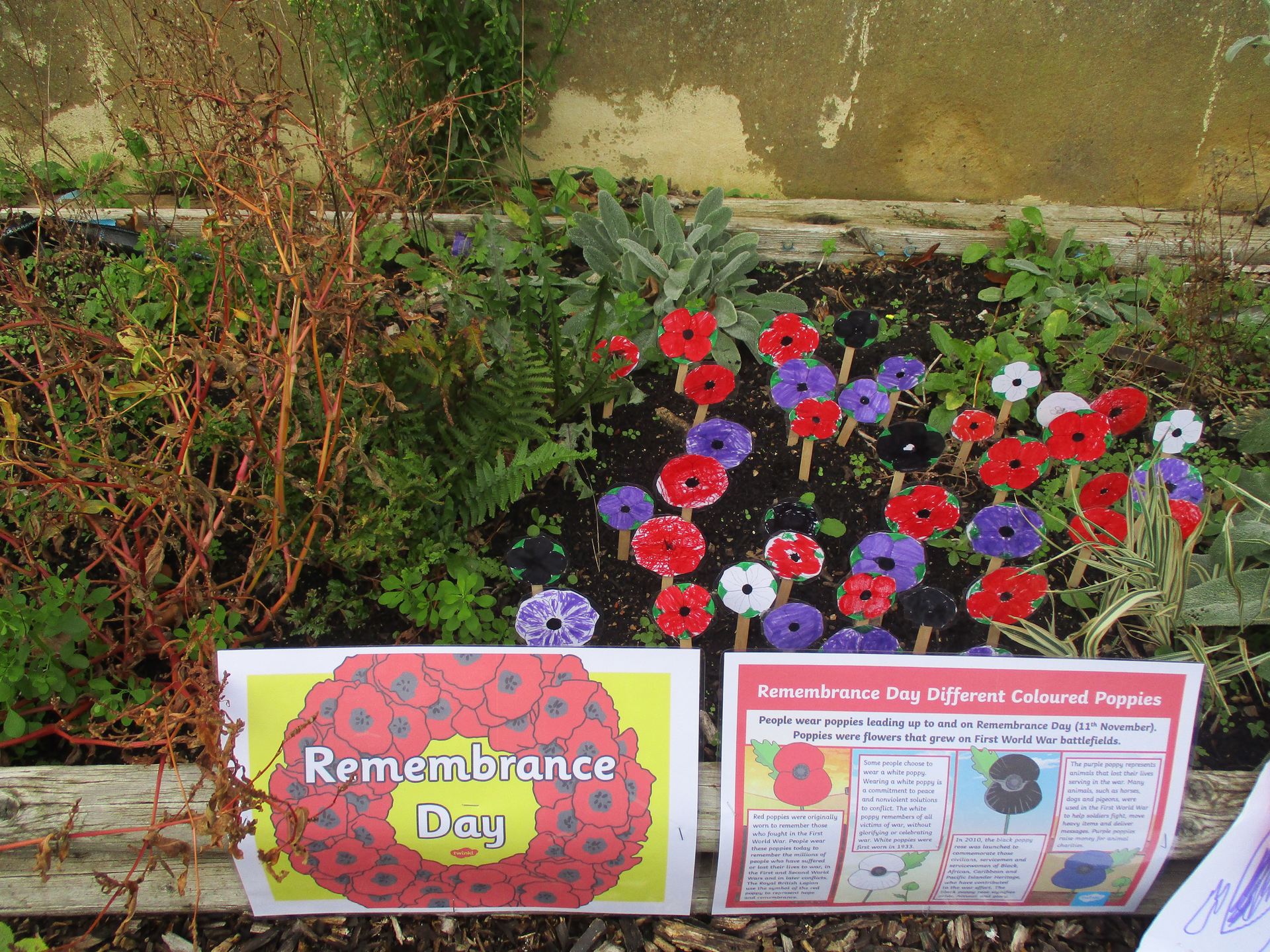Remembrance day in Reception