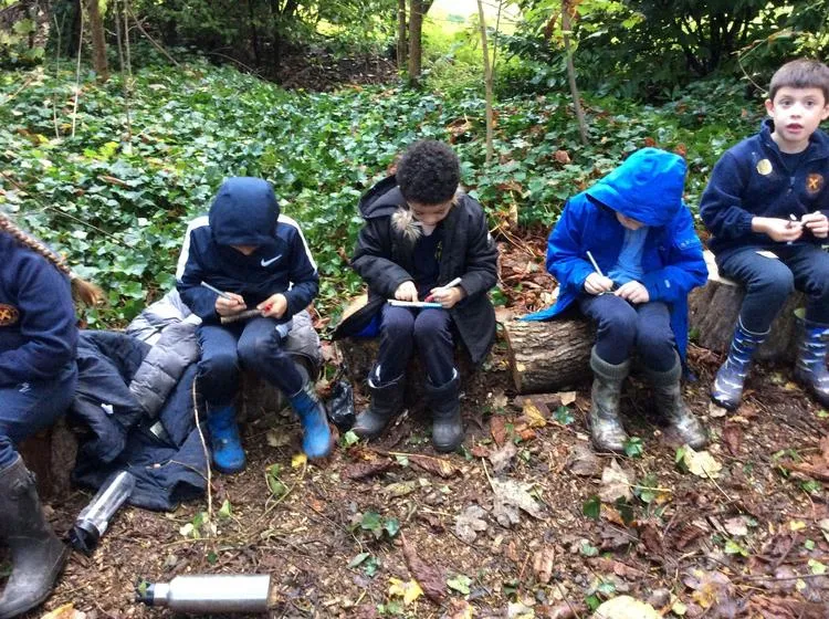 Forest School - image 3 Forest School - image 3