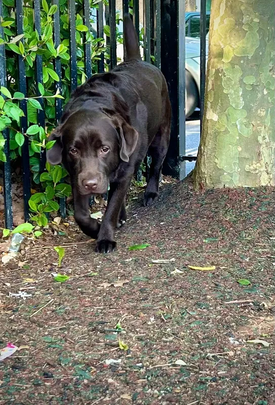 Gallery - created at 2021-06-30 13:57:57 - image 13