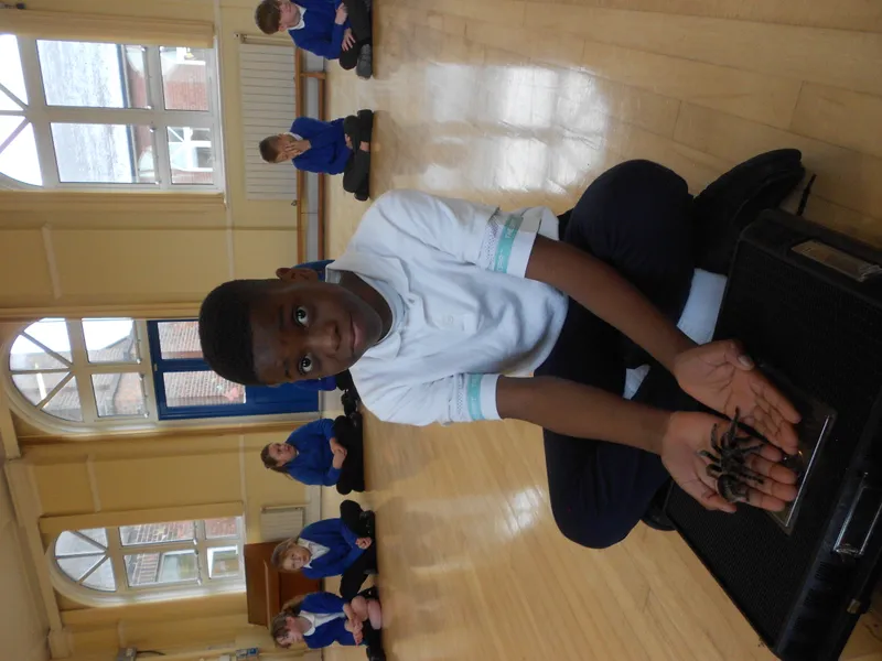 Y6 Reptile Rendezvous - image 77