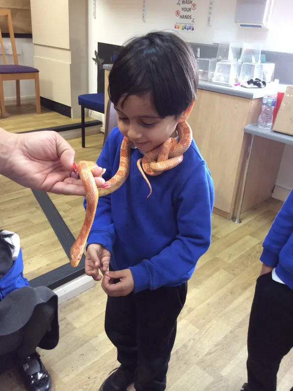 Gallery - created at 2024-02-26 17:15:57 - image 62 Gallery - created at 2024-02-26 17:15:57 - image 62