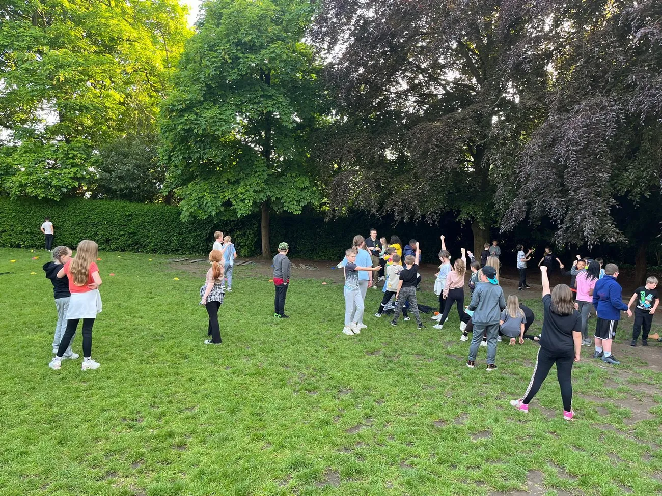 Gallery - created at 2024-06-06 15:03:55 - image 6