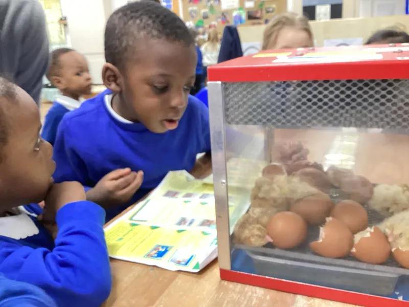 Gallery - created at 2024-07-04 16:12:30 - image 19