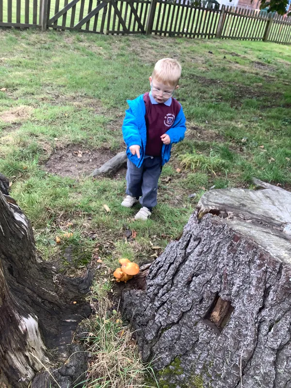 Nursery RE Creation - image 10 Nursery RE Creation - image 10