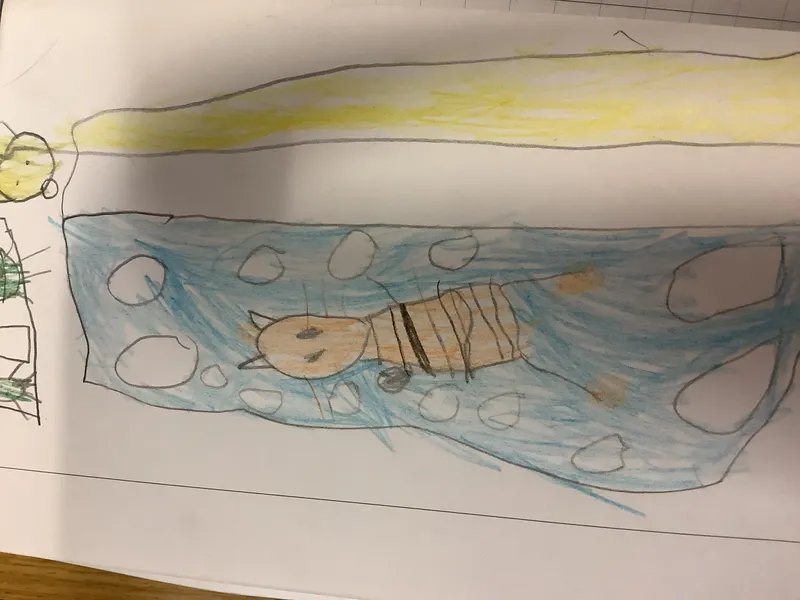 SC My happy minds Spring 2 - image 5