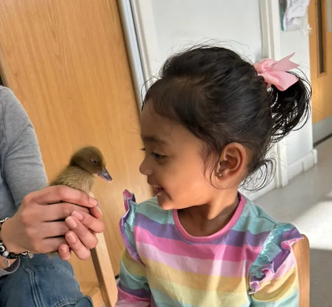 Life Cycles - image 10