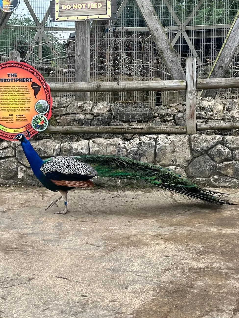 Gallery - created at 2024-06-06 15:03:55 - image 95